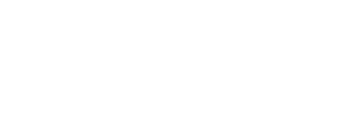 Google Logo WHite